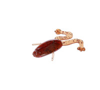 Лягушка несъедоб. Crazy Frog 3,55"/9,0 см Rusty Gold 50шт. (HS-23-006-N) Helios